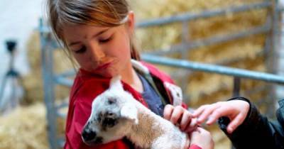 Tatton Park Farm reopens with FREE chocolate for children - www.manchestereveningnews.co.uk