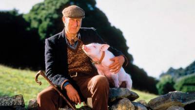 Hollywood Flashback: James Cromwell Reflects on 'Babe' 25 Years Later - www.hollywoodreporter.com