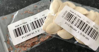Scots warned over bizarre seed packet scam after households receive strange deliveries through the post - www.dailyrecord.co.uk - Scotland - China - Singapore