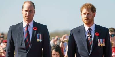 Prince Harry and Prince William Have to End Their Feud to Save the Monarchy, Royal Sources Say - www.marieclaire.com