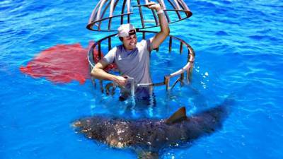 ‘Shark Week’ Experiment Tests Whether Sharks Prefer Human Or Fish Blood - etcanada.com - Bahamas