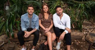 The real reason I'm a Celebrity: Extra Camp won't be returning this year - www.msn.com