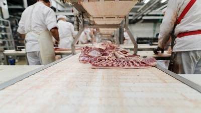 SIPTU calls for national testing programme for meat industry - www.breakingnews.ie - Ireland