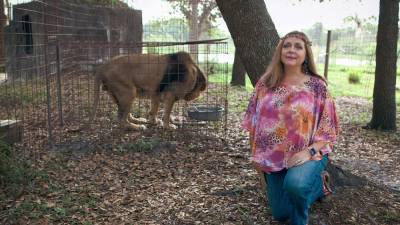 'Tiger King': Money Offered For Info on Carole Baskin's Missing Husband - www.hollywoodreporter.com - Florida - city Tampa