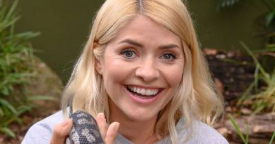 Why Holly Willoughby could return to I'm a Celebrity in 2020 - www.msn.com - Britain