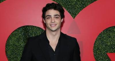Noah Centineo TRANSFORMS his body for new role in He Man: Asks fans if he ‘should start training again’ - www.pinkvilla.com