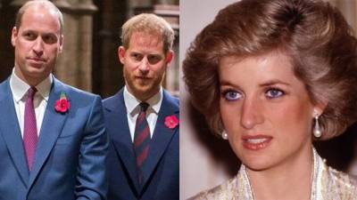 Princess Diana would've made Prince Harry, Prince William 'work through their issues', author claims - www.foxnews.com