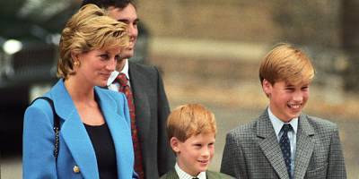 Princess Diana Would Have "Stood Up" for Prince Harry and Prince William amid Royal Rift - www.harpersbazaar.com