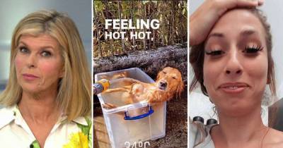 7 genius celebrity heatwave hacks to keep your family cool - from Kate Garraway to James Middleton - www.msn.com