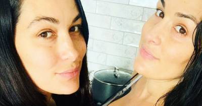 Nikki Bella and Brie Bella Share Selfie ‘2 Weeks Postpartum’ After Sons’ Births - www.usmagazine.com