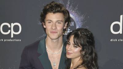 Shawn Mendes Camila Cabello Are Reportedly ‘Taking Some Time Apart’ It’s Bittersweet - stylecaster.com