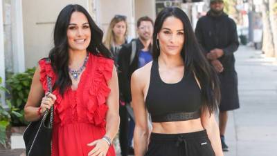 Brie Bella Posts First Selfie With Her Sister Nikki Two Weeks After They Give Birth — See Pic - hollywoodlife.com