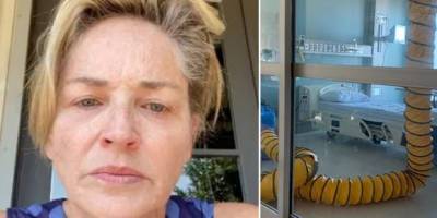 Sharon Stone reveals devastating family news - www.lifestyle.com.au - county Stone