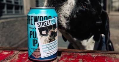 Scottish beer kings BrewDog launch limited edition Street Dog IPA in bid to find new families for homeless dogs - www.dailyrecord.co.uk - Britain - Scotland