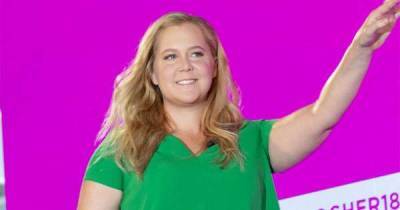 Amy Schumer found working while pregnant 'really hard' - www.msn.com
