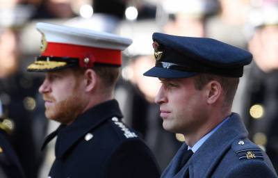 Prince Harry And Prince William Have ‘Not Spoken’ Since The Start Of The Year - etcanada.com
