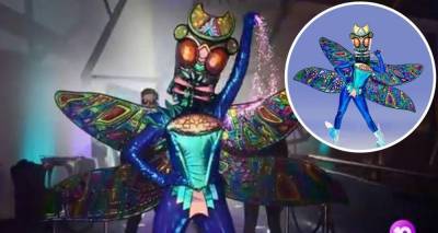 The Masked Singer Australia clues 2020: Who is Dragonfly? - www.newidea.com.au - Australia