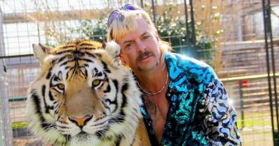 Netflix hit show Tiger King is 'returning for season two' and you cool cats and kittens can't wait - www.ok.co.uk