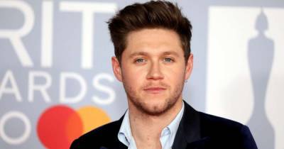 One Direction's Niall Horan snaps foot ligaments in drunken injury - www.msn.com