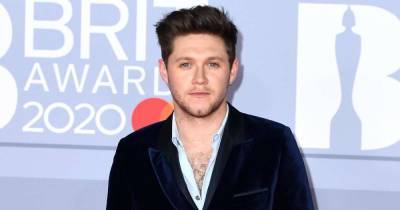 One Direction's Niall Horan sustains injury after drinking "six pints" - www.msn.com