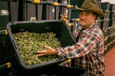 ‘Growing Belushi’ goes inside Jim Belushi’s cannabis empire - nypost.com - state Oregon