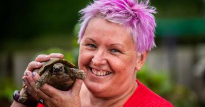 Lovesick Scots tortoise Fred, 50, seeks female to help bring him out his shell - www.dailyrecord.co.uk - Scotland