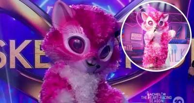 The Masked Singer Australia 2020: Who is Kitten? - www.newidea.com.au - Australia