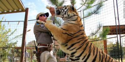 Jeff Lowe Announced the 'Tiger King' Zoo Is Closing Down Forever - www.cosmopolitan.com - USA