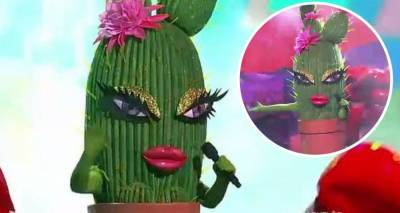 The Masked Singer 2020: Who is Cactus? - www.newidea.com.au - Australia