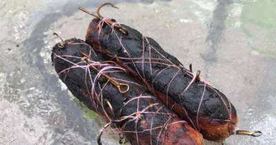 Dog owners warned after sausages laced with fish hooks found in Glasgow street - www.dailyrecord.co.uk