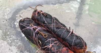 Warning issued to Glasgow dog walkers after sausages laced with fish hooks dumped in street - www.dailyrecord.co.uk