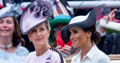 The Countess of Wessex speaks out about Prince Harry and Meghan Markle's departure from the royal family - www.msn.com