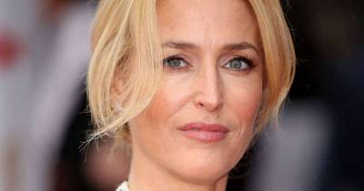 Gillian Anderson delights fans after revealing natural hair in makeup-free photo - www.msn.com