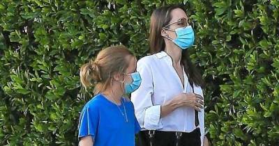 Angelina Jolie's family seems to have a new dog - www.msn.com