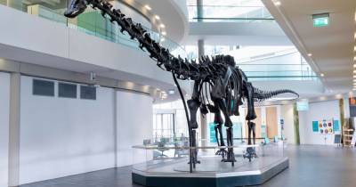 Dippy the Dinosaur is coming back to Rochdale - www.manchestereveningnews.co.uk