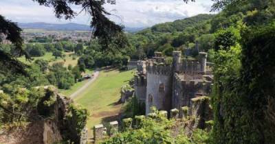 I'm a Celebrity's location revealed as Gwrych Castle in North Wales - www.msn.com - Australia