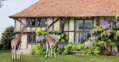UK hotel that lets you dine with giraffes set to open - but the waiting list is huge - www.manchestereveningnews.co.uk - Britain - city Nairobi