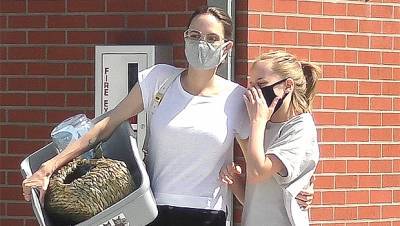 Angelina Jolie Wraps Her Arm Around Daughter Vivienne, 12, After Shopping For Pet Supplies – Pic - hollywoodlife.com