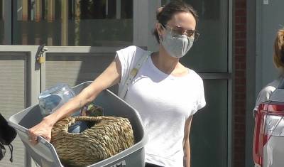 Angelina Jolie Picks Up a New Litter Box at the Pet Store - www.justjared.com - Los Angeles - Malibu