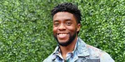 'Black Panther' Actor Chadwick Boseman Has Died at Age 43 - www.marieclaire.com