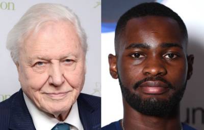David Attenborough and rapper Dave are collaborating on wildlife special - www.nme.com