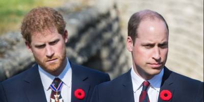 Prince William and Prince Harry Are Having "Stilted and Difficult" Conversations Right Now - www.cosmopolitan.com
