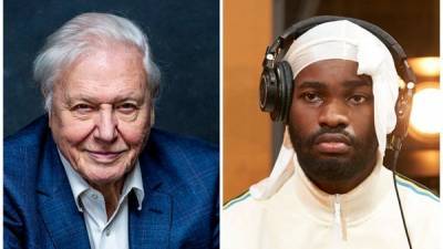 David Attenborough and rapper Dave collaborate for Planet Earth special - www.breakingnews.ie