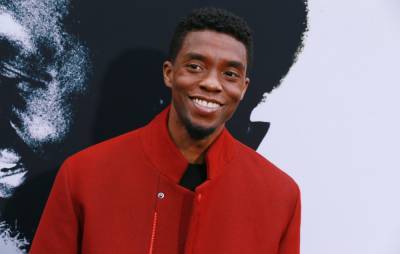 James Brown’s family share touching tribute to Chadwick Boseman - www.nme.com - county Brown