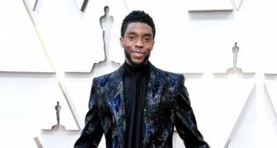 Chadwick Boseman auditioned for THIS MCU character before getting his iconic role as T’challa in Black Panther - www.pinkvilla.com