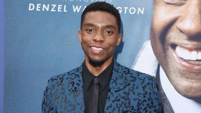 Chadwick Boseman May Have Hinted At Cancer Battle In 2017 Interview, Vowing To ‘Live To Tell The Story’ - hollywoodlife.com