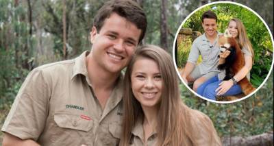How Bindi Irwin and Chandler Powell are preparing for their baby's arrival - www.newidea.com.au