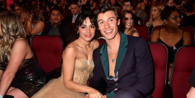 Why Camila Cabello and Shawn Mendes Aren't at the 2020 MTV VMAs Together - www.elle.com - New York