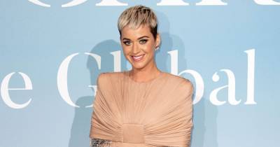 Katy Perry Poses in Nursing Bra and Postpartum Underwear 4 Days After Giving Birth: ‘Exhaustion’ - www.usmagazine.com