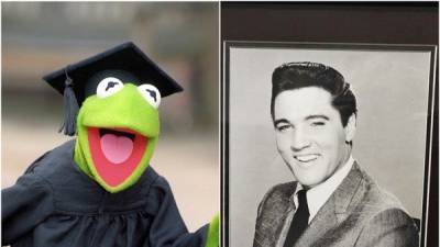 Elvis and Kermit among public suggestions for new Mississippi state flag - www.breakingnews.ie - USA - state Mississippi